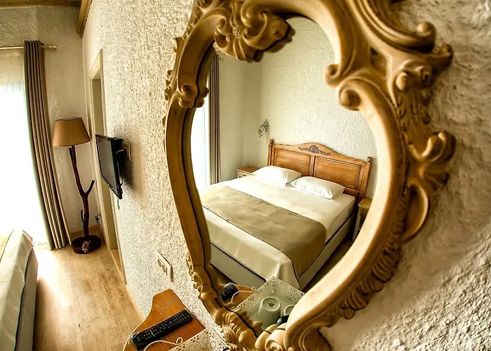 酒店 范缇别墅 3*